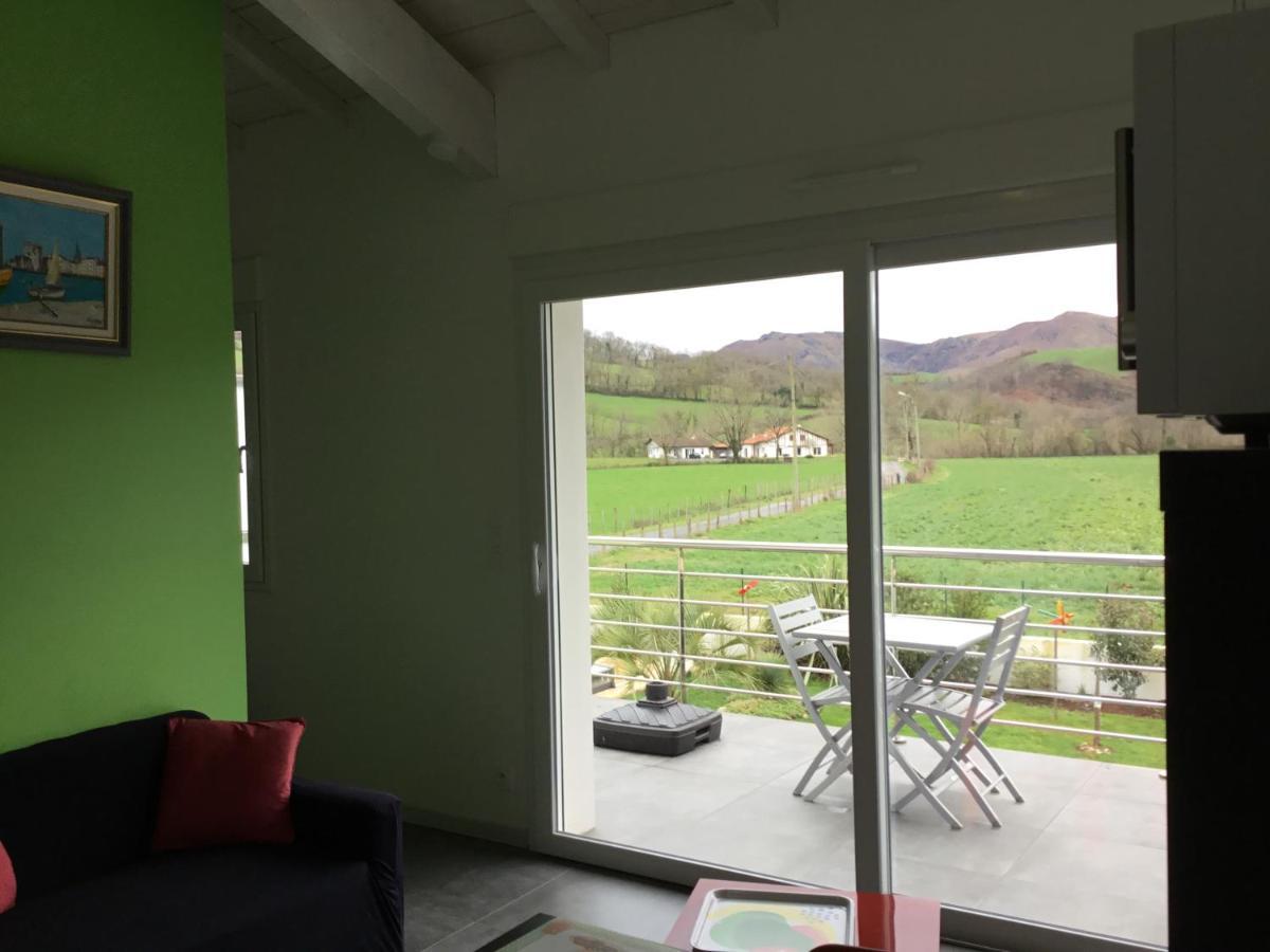 Gites Vue Montagne St Jean Pied De Port Pays Basque Saint-Jean-Pied-de-Port Ngoại thất bức ảnh