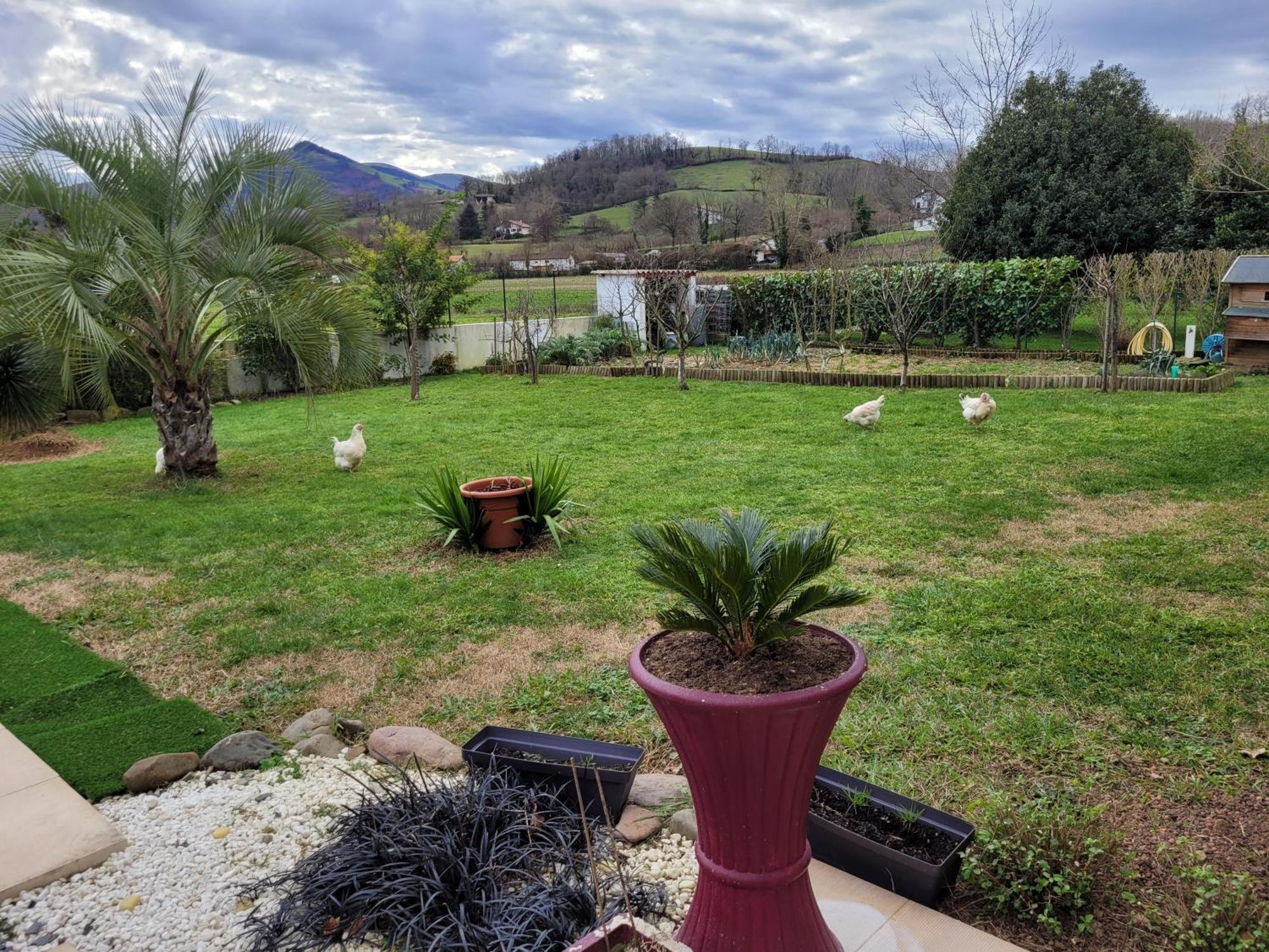 Gites Vue Montagne St Jean Pied De Port Pays Basque Saint-Jean-Pied-de-Port Ngoại thất bức ảnh
